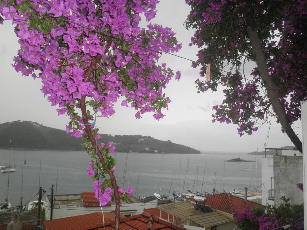 Babis Hotel Skiathos Town Ngoại thất bức ảnh