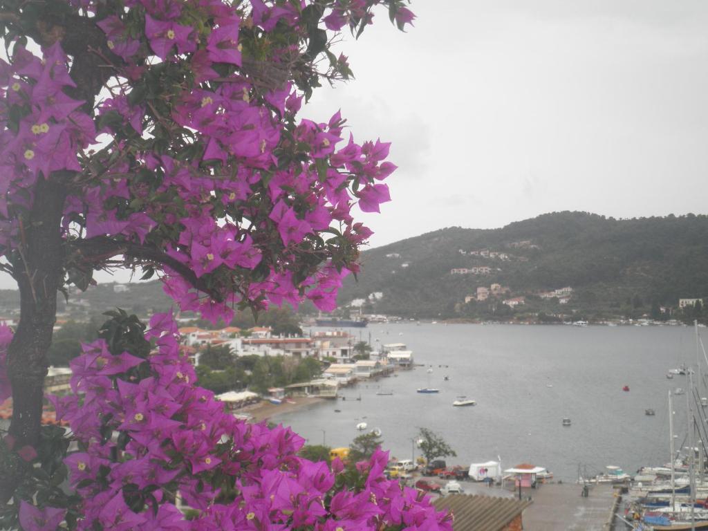 Babis Hotel Skiathos Town Ngoại thất bức ảnh